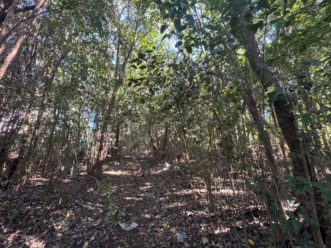 TERRENO EN VENTA EN UNQUILLO