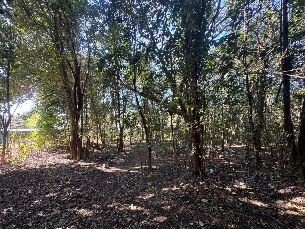 TERRENO EN VENTA EN UNQUILLO