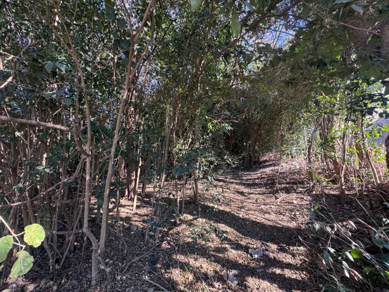TERRENO EN VENTA EN UNQUILLO