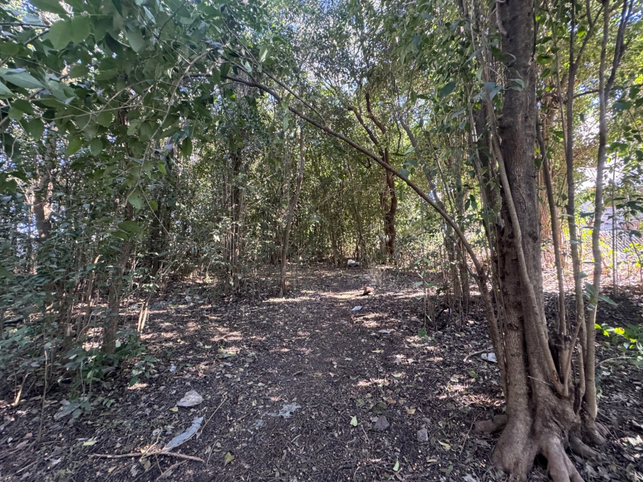 TERRENO EN VENTA EN UNQUILLO