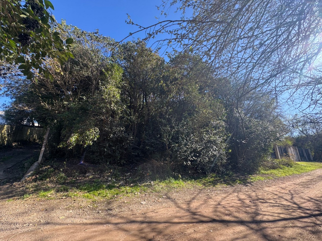 TERRENO EN VENTA EN UNQUILLO