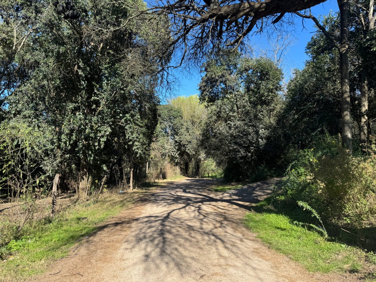 TERRENO EN VENTA EN UNQUILLO