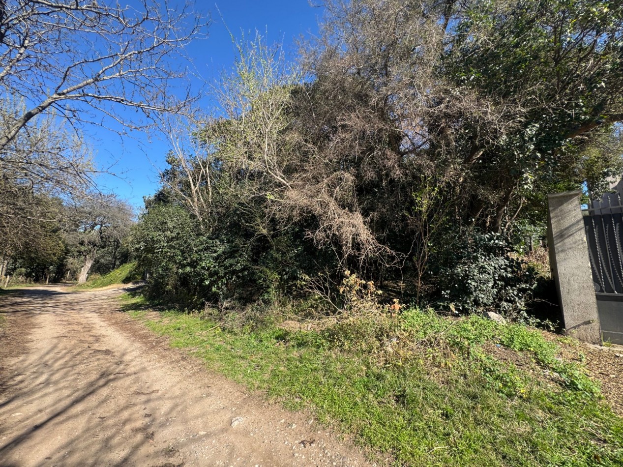 TERRENO EN VENTA EN UNQUILLO