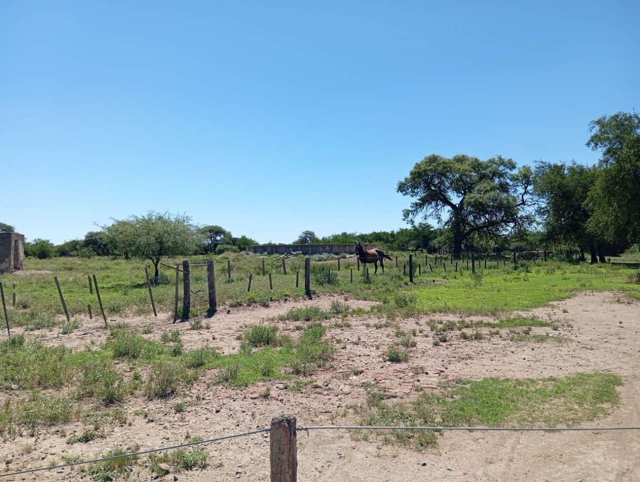CAMPO EN VENTA EN SAN FRANCISCO DEL CHAÑAR