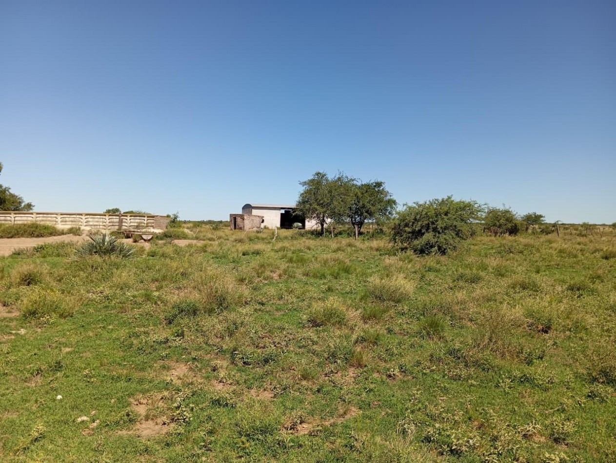 CAMPO EN VENTA EN SAN FRANCISCO DEL CHAÑAR