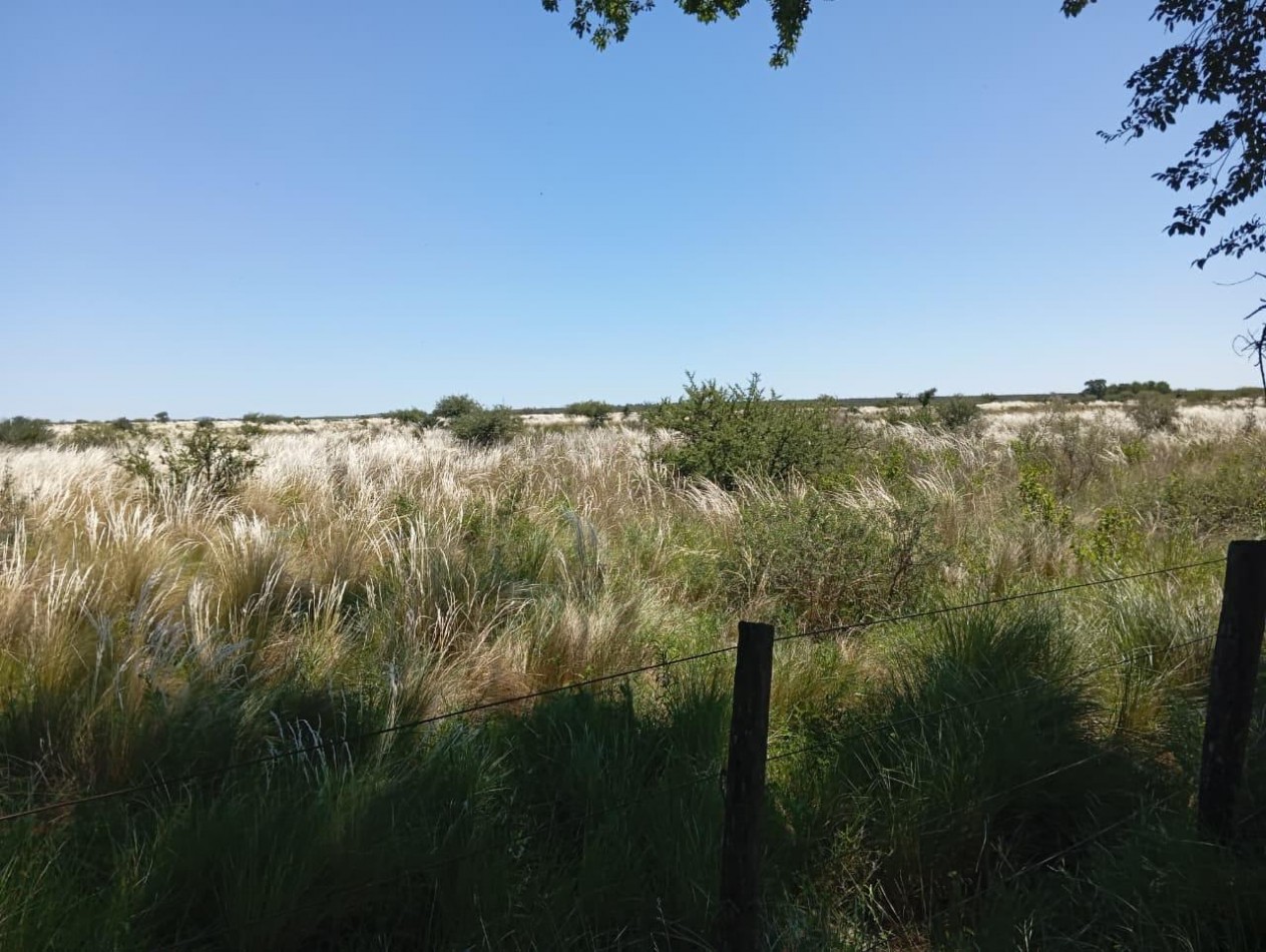 CAMPO EN VENTA EN SAN FRANCISCO DEL CHAÑAR