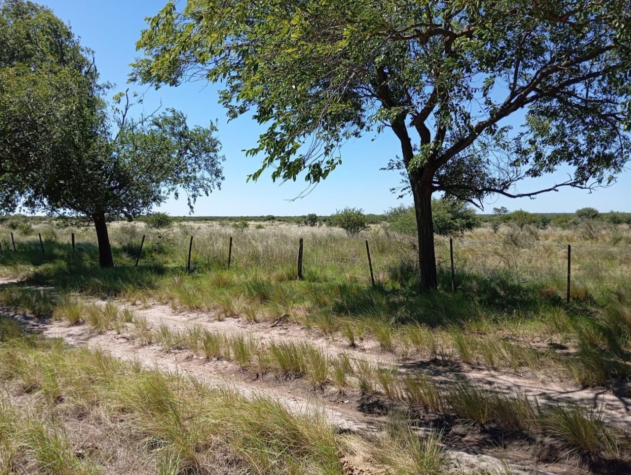 CAMPO EN VENTA EN SAN FRANCISCO DEL CHAÑAR