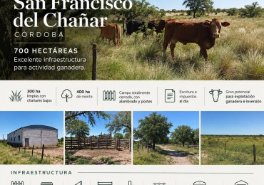 CAMPO EN VENTA EN SAN FRANCISCO DEL CHAÑAR