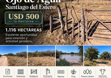 CAMPO EN VENTA EN OJO DE AGUA