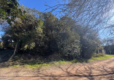 TERRENO EN VENTA EN UNQUILLO